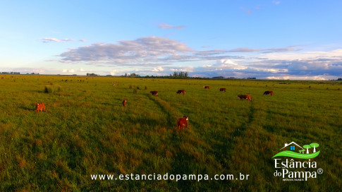 DOS EÓLICOS VIRA P FAZENDA_Moment.00_03_17_22.Quadro200_33c23e39e1b39e1f10c609095d46bf98762ebcdd.jpg